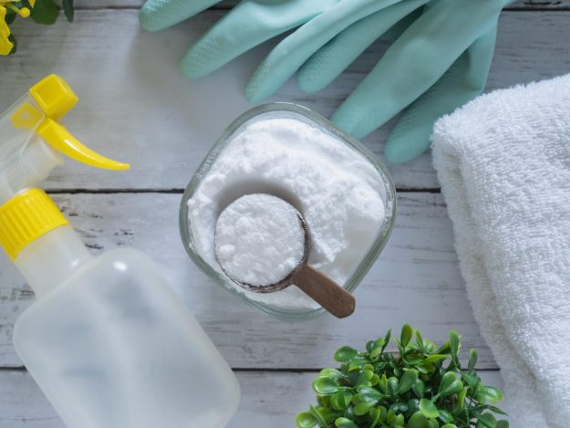 how-to-get-rid-of-plant-bugs-at-home-baking-soda how-to-get-rid-of-plant-bugs-at-home-baking-soda